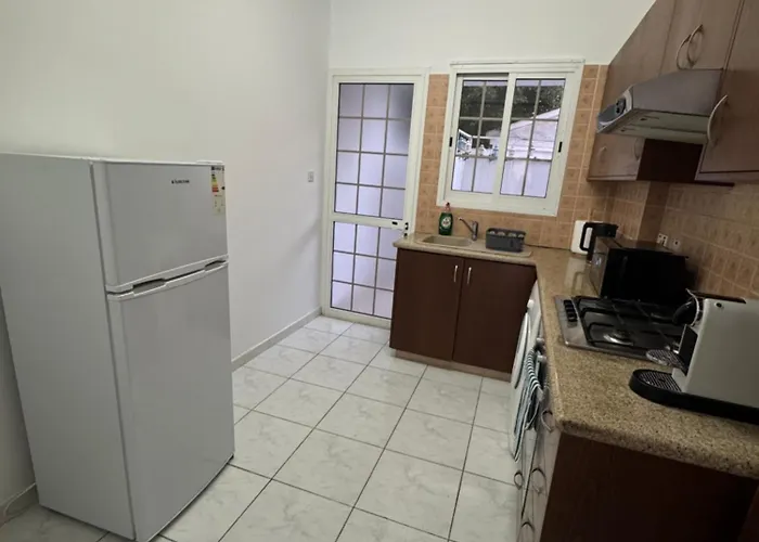 Cozy & Chill 레메소스